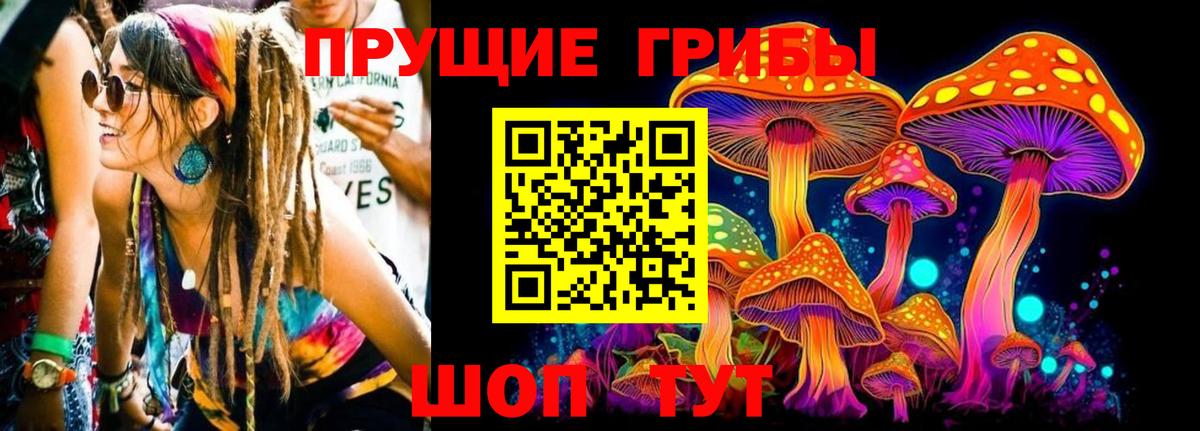 Псилоцибиновые грибы Psilocybine cubensis  Псилоцибиновые грибы Psilocybe  Электросталь  Вход с VPN 