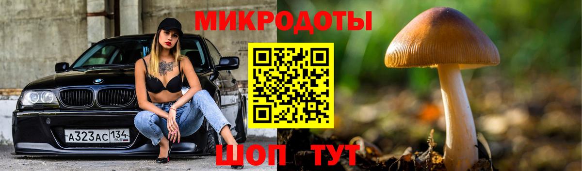 Псилоцибиновые грибы Cubensis Электросталь