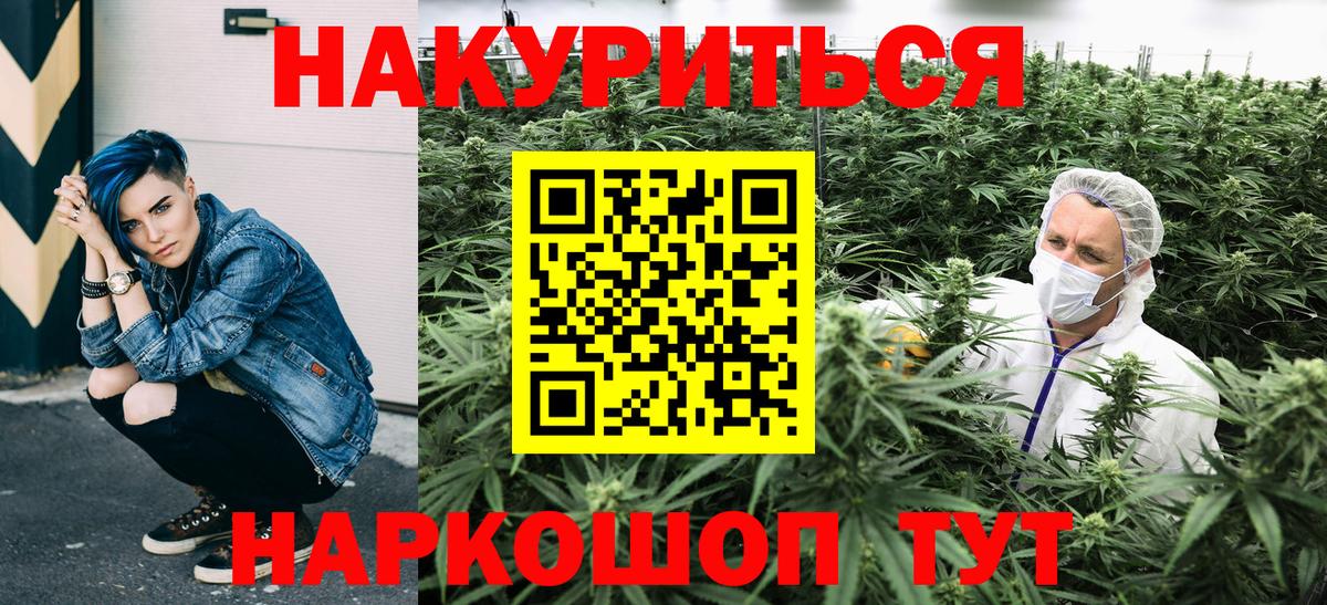 Конопля сатива Электросталь